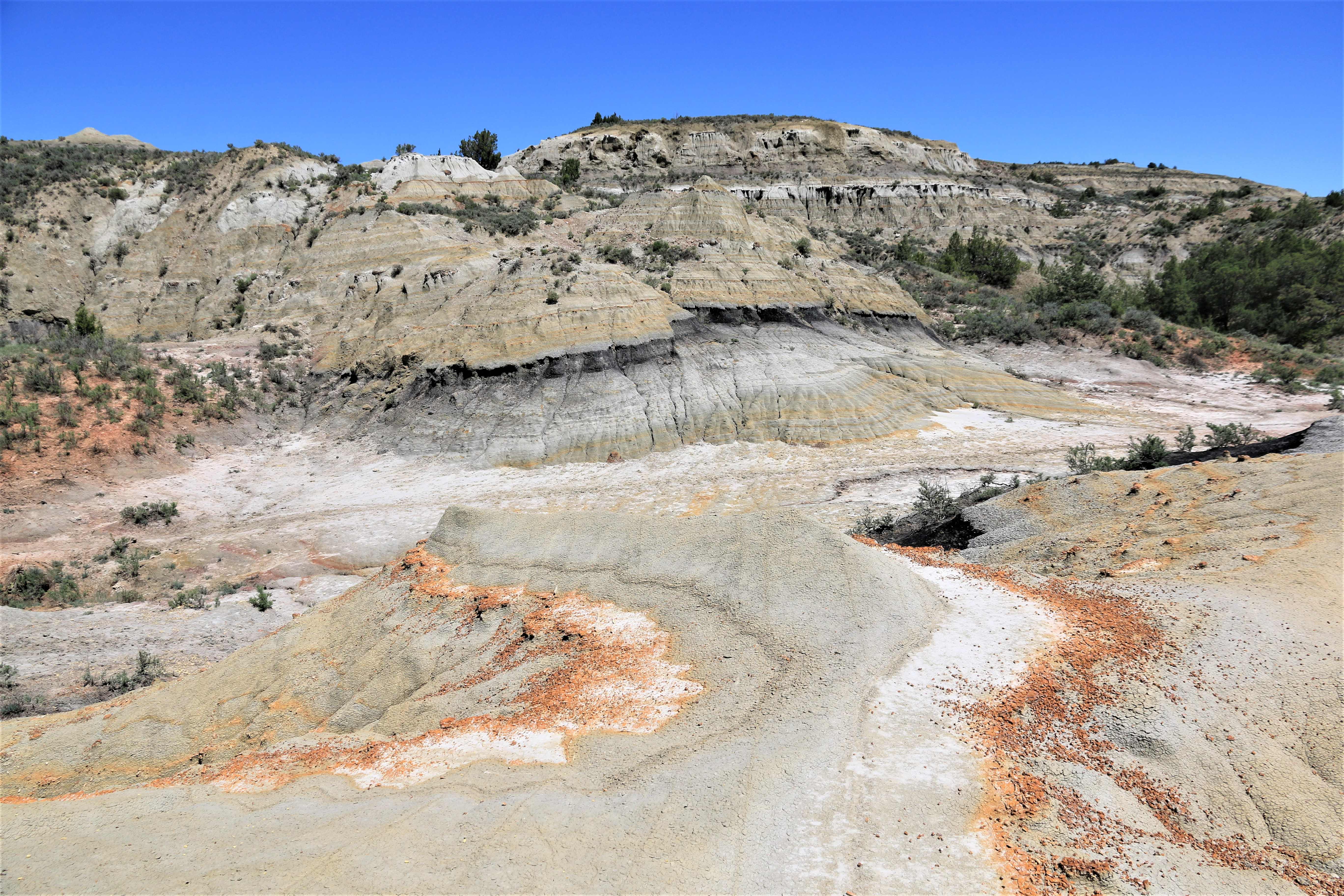 Theodore Roosevelt NP
